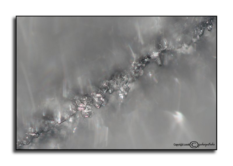 sl<i>ICE</i><p>December 4