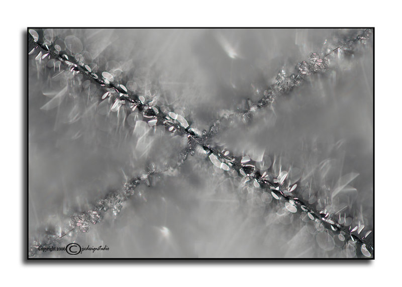 Crossing