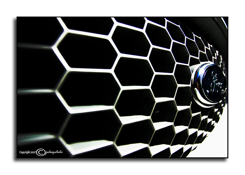 In the Hive<p>February 28