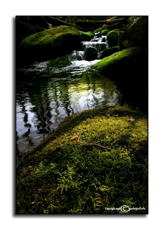 Roaring Fork<p>May 2