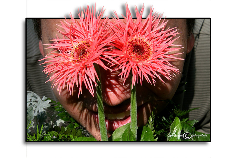 SPider Eyes<br>SP Friday<br>May 18