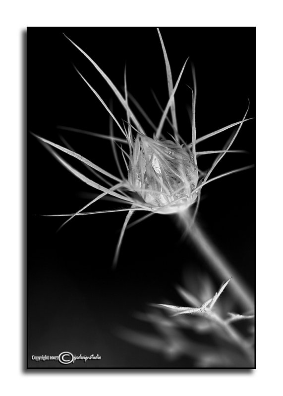 Jumbled June IV<p>June 3