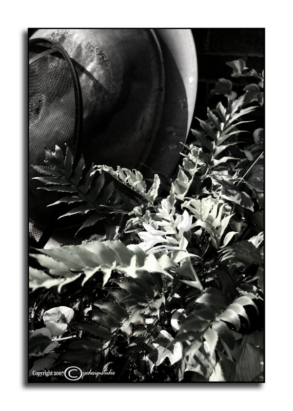 Ambient Achromatic August XVIII