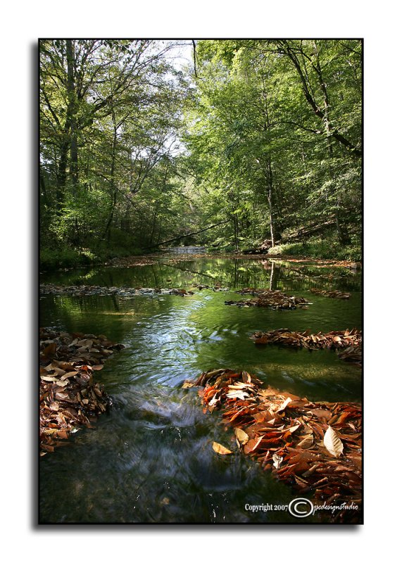 Early Fall