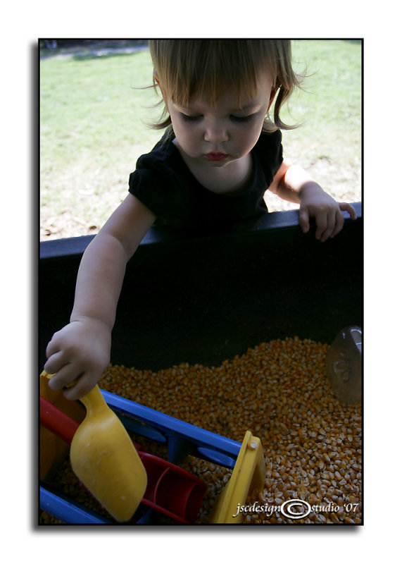 Gentry Farm IV