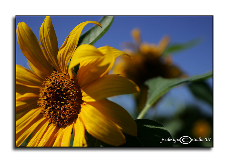 Sunny Fall Day<p>September 30