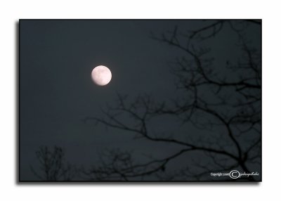 Macro Moon<p>December 2
