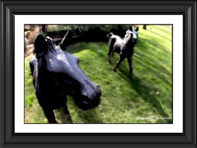 Foals<br>(Watercolor Filter)