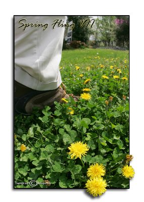 Challenge:Under FootSpring Fling VIITiny Fields of Gold