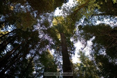 IMG_1221_5D.jpg