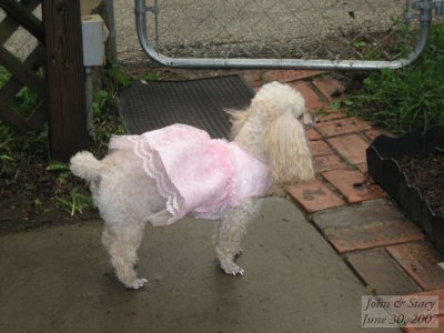SD400_IMG_0708.jpg