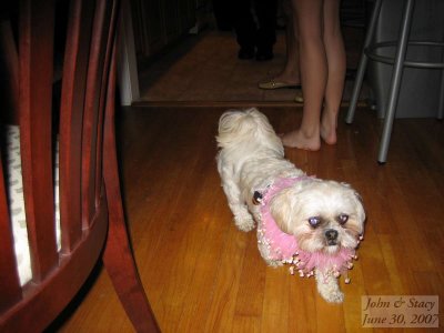 SD400_IMG_0728.jpg