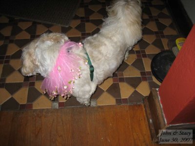 SD400_IMG_0700.jpg