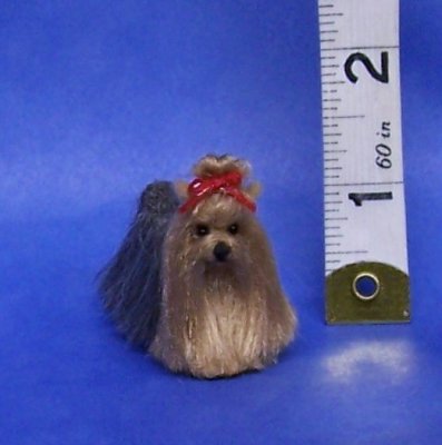 YORKSHIRE TERRIER (SPECIAL ORDER)