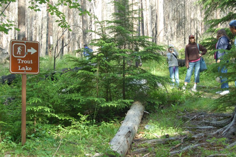 Trout Lake Hike