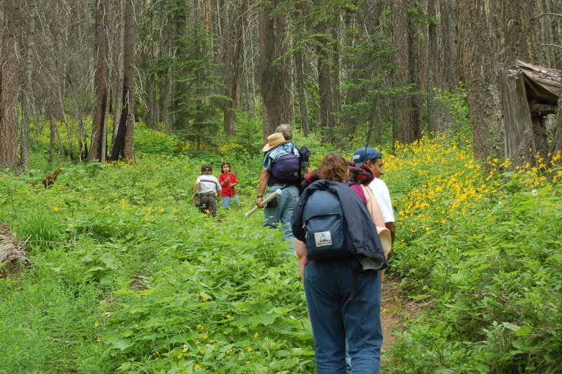 Trout Lake Hike