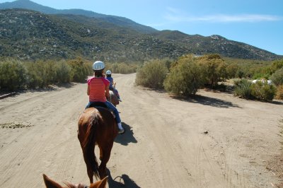 On The Trail