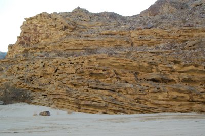 DSC_0484.JPG