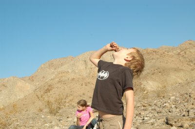 DSC_0506.JPG