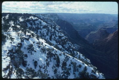 Grand Cyn in Winter