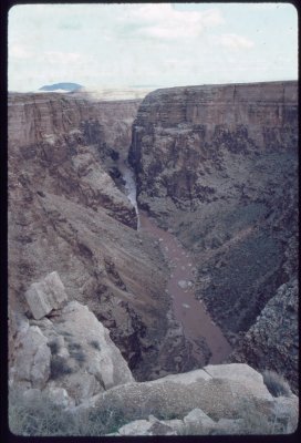 Little Colorado?