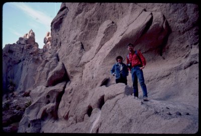 East Mojave NM