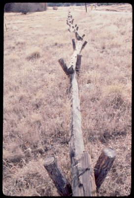 Cuyamaca