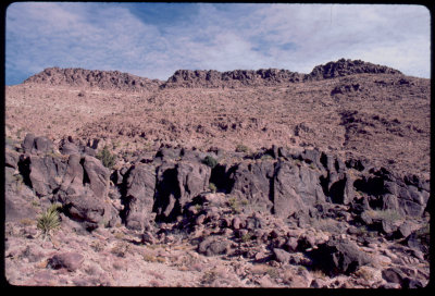 East Mojave NM