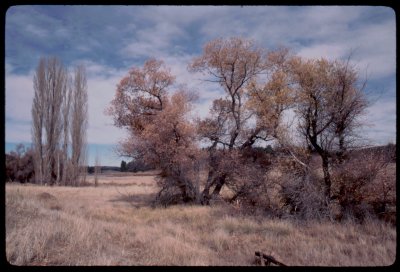 Cuyamaca