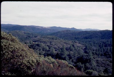 Cuyamaca