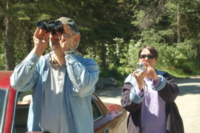 Wildlife Spotters