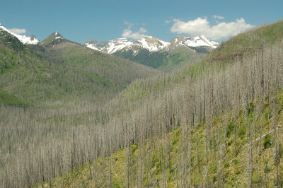 Glacier NP