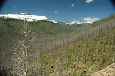 Glacier NP