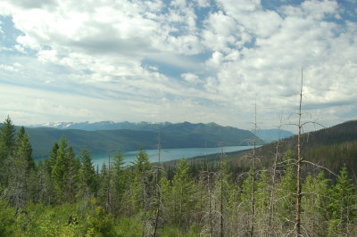 Trout Lake Hike