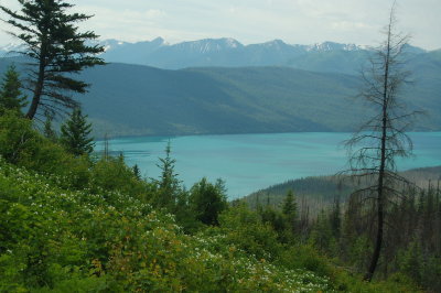 Trout Lake Hike