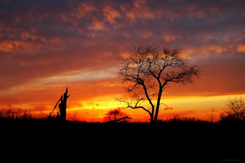 Life & Death at Elam Bend
