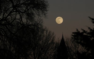 Moon & Albany's Court House