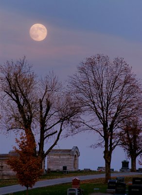 Frosty Moon