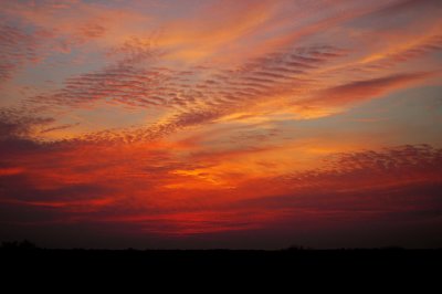 Sunset with Undulatus (Cloud Type)