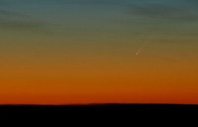 Comet McNaught (C/2006 P1)