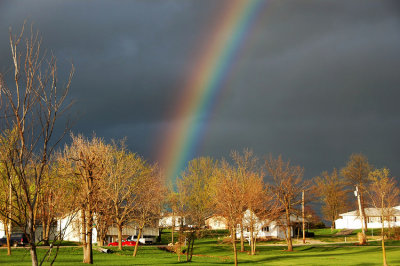 Rainbow in Early Spring