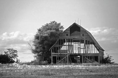 Last Stand BW