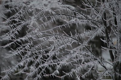 Ice Storm 2007