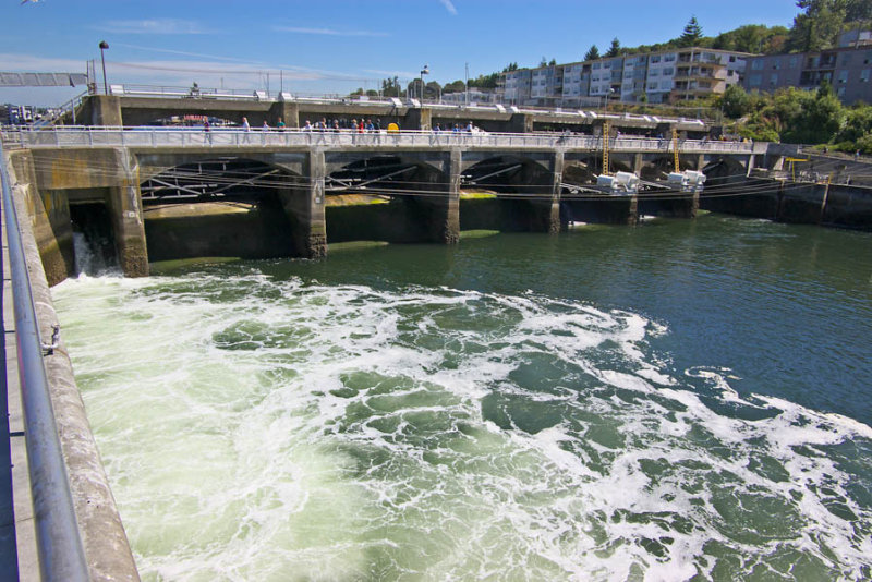 Ballard Locks