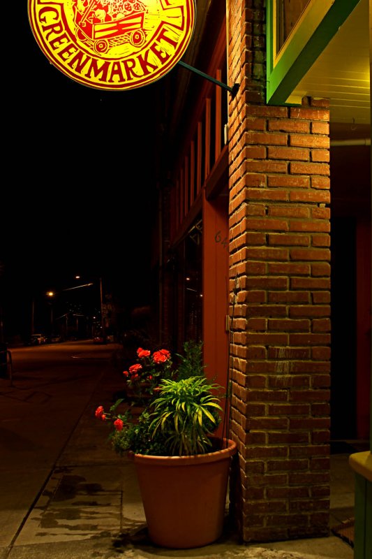 night-rose