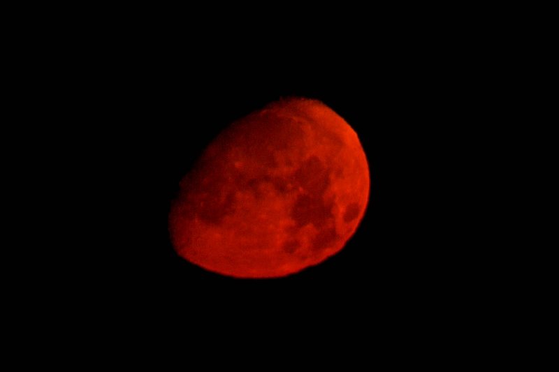 night moon_03