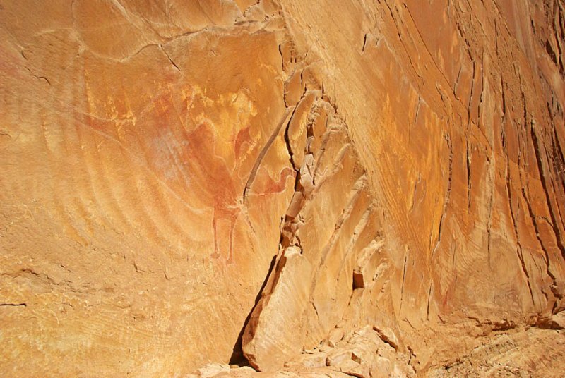 Black Dragon Pictograph