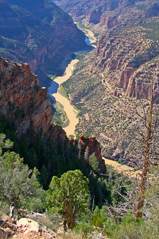 Whirlpool Canyon