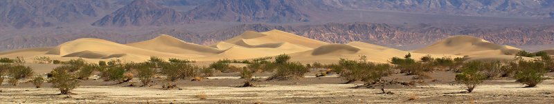 StovePipe Wells Sand Dunes