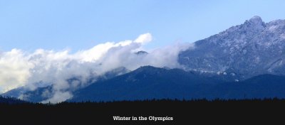 Winter In The Olympics